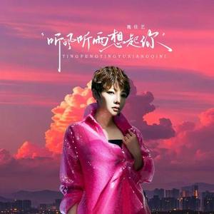 听风听雨想起你 (DJ版)