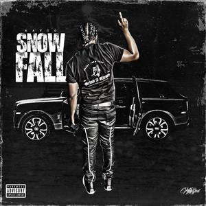 Snow Fall