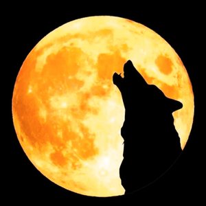 dj王海缘阿军-傳奇蒙古之路串燒（dj王海缘阿军 remix）