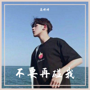 不要再碰我