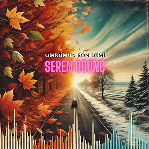Ömrümün Son Demi