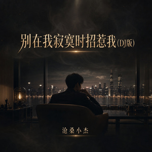 别在我寂寞时招惹我(DJ版)