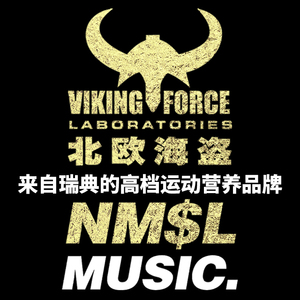 北欧海盗 VIKING FORCE