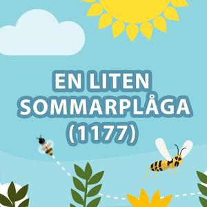 En liten sommarplåga (1177)