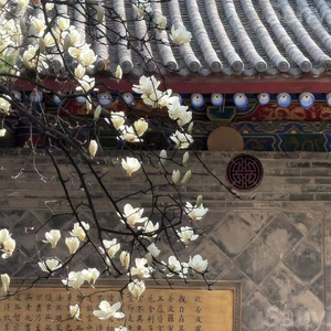 岂不闻光阴如骏马加鞭