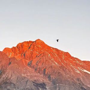 是雾总会散-青山