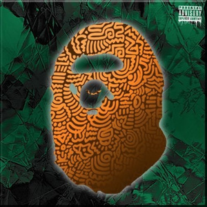 Fake Bape (Prod. SLIGHT)