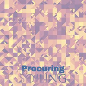 Procuring Soiling