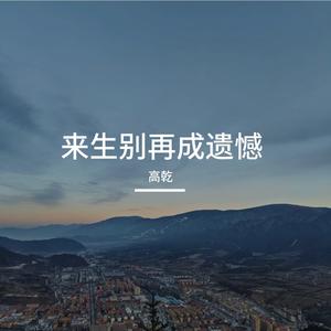 来生别成再遗憾