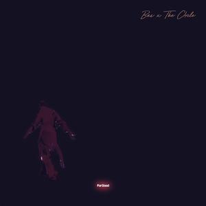 For Good (feat. Bas)