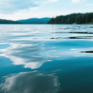 शाह जीवेय