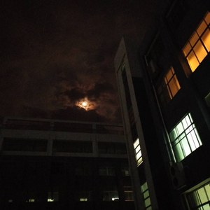 Not Bad (Prod. MoonVibe & BLACKFAT)