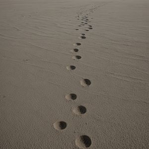 La Esencia De Nuestro Amor