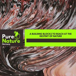 Sky Scrapping Bald Eagle