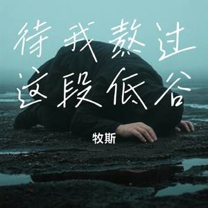 待我熬过这段低谷