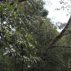 雨天，孤独情绪‘伤感’free beat