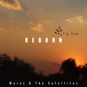 Reborn