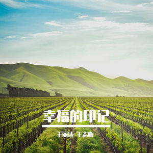 王丽达、王志昕-幸福的印记-mmm_6
