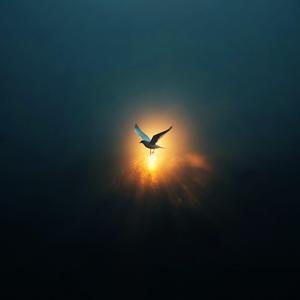 Lumina