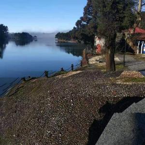 波斯给（热搜版）.wav