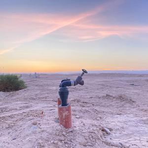 החלום של מר תפוד