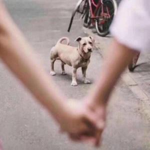 当代恶臭大学生的日常