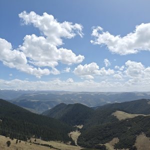 我不许愿了 天空还给你