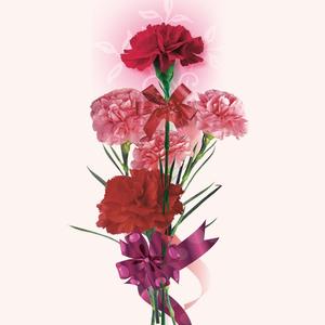 《二十一年》 伴奏