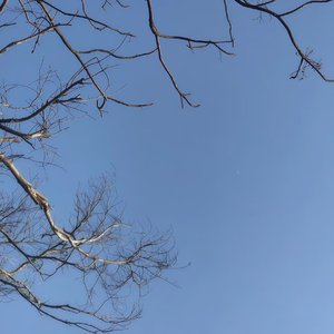 爱你没差（翻唱版）