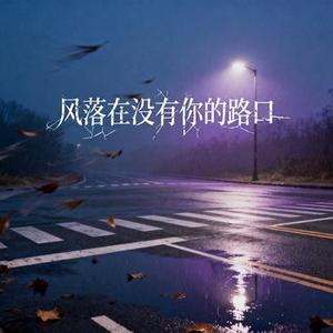 风落在没有你的路口