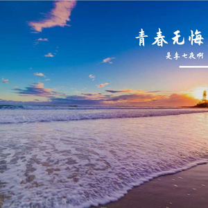 追光不止