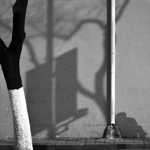 停滞 feat.猫某人(Prod EVOMUSIC )