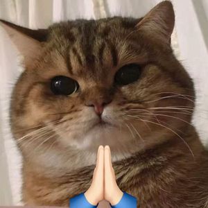 燃烧 (Cover刘嘉星)