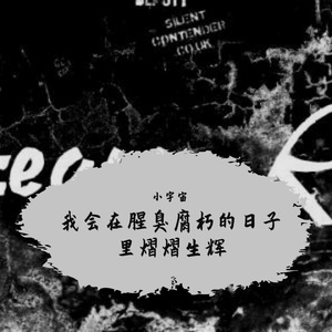 我会在腥臭腐朽的日子里熠熠生辉