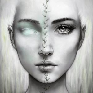 傻子与骗子