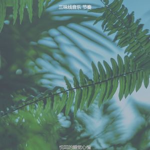 诗意的按摩节奏