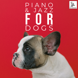 Pet That Dances To Music
