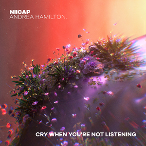 Cry When You’re Not Listening