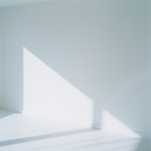 白く塗られた壁