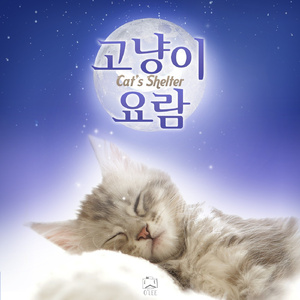 고냥이 요람 (Cat's Shelter)