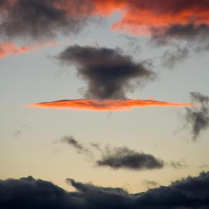 【Free】“Summer”-iann dior typebeat