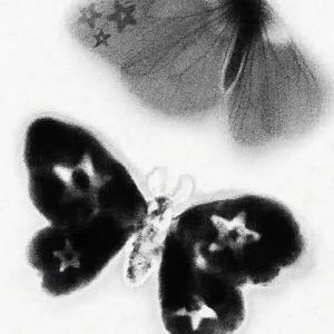 相爱的人为何还要流眼泪