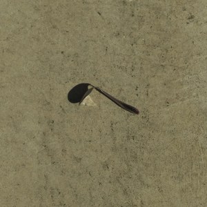 Digestivo (Laranja Com Sal)