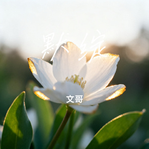 默绽