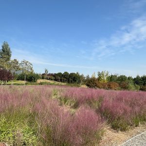 星星眨眼在窗边