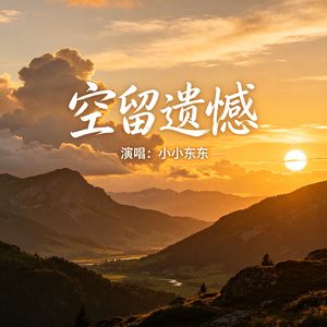 空留遗憾