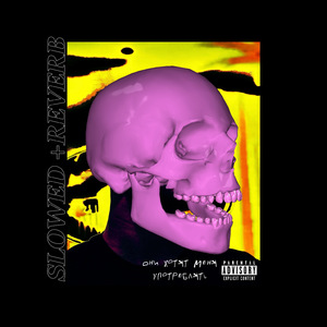 Они хотят меня употреблять (Slowed + Reverb)