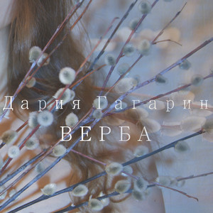 Верба