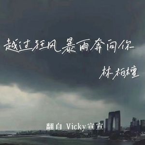 越过狂风暴雨奔向你