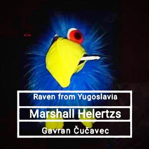 Raven from yugoslavia / Gavran Čučavec